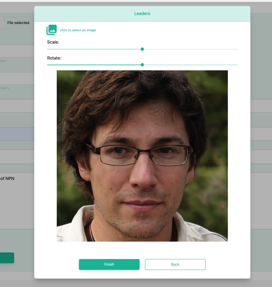 finish image scale preview